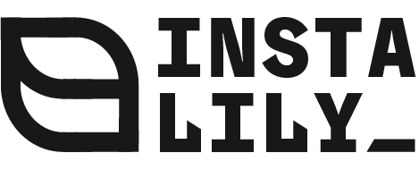 Instalily AI Logo